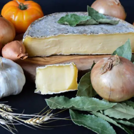 A Super Besse, 2 Chambres, Proche Pistes - Fr-1-814-11 Apartamento *